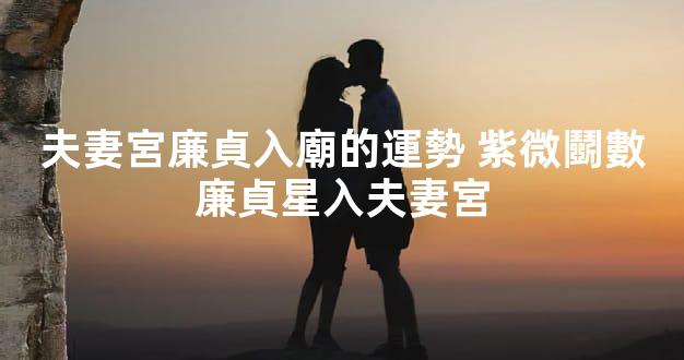 夫妻宮廉貞入廟的運勢 紫微鬭數廉貞星入夫妻宮